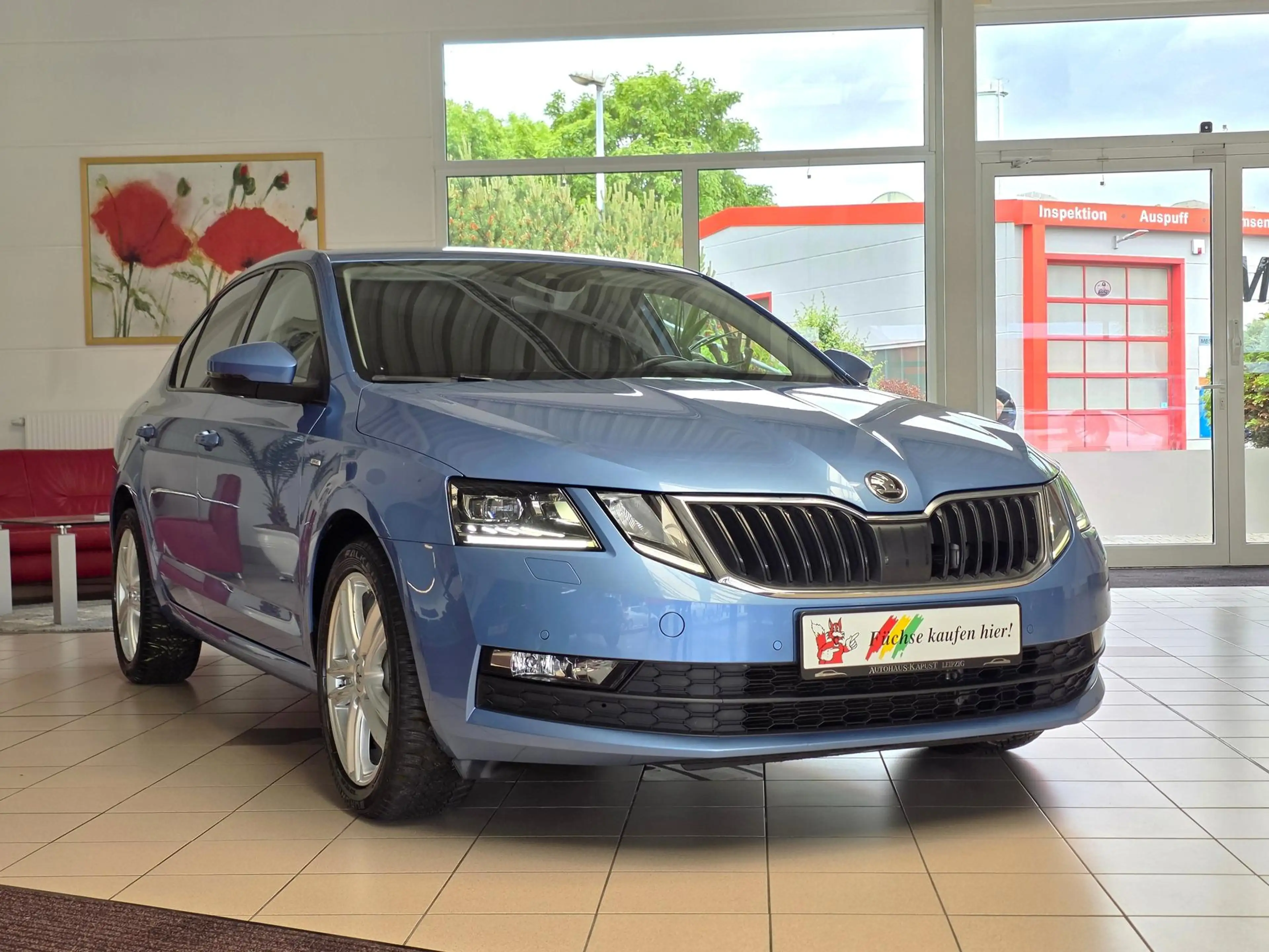 Skoda Octavia Octavia Lim. DSG Drive 150/LED/Navi/DAB/Cam/Ahk — photo 10