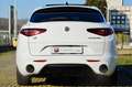 Alfa Romeo Stelvio Stelvio 2.2 t Veloce Q4 210cv AT8 , TETTO ,PERMUTE Bianco - thumbnail 5