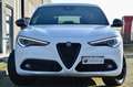 Alfa Romeo Stelvio Stelvio 2.2 t Veloce Q4 210cv AT8 , TETTO ,PERMUTE Bianco - thumbnail 2