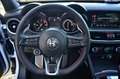 Alfa Romeo Stelvio Stelvio 2.2 t Veloce Q4 210cv AT8 , TETTO ,PERMUTE Bianco - thumbnail 9