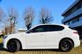 Alfa Romeo Stelvio Stelvio 2.2 t Veloce Q4 210cv AT8 , TETTO ,PERMUTE Bianco - thumbnail 3