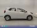 Kia Picanto 1.0 Concept Gris - thumbnail 4
