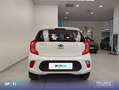 Kia Picanto 1.0 Concept Gris - thumbnail 5