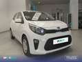 Kia Picanto 1.0 Concept Gris - thumbnail 3