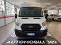 Ford Transit Transit 350 2.0TDCi EcoBlue MHEV 170CV PL-TM Furgo Weiß - thumbnail 6