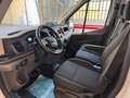 Ford Transit Transit 350 2.0TDCi EcoBlue MHEV 170CV PL-TM Furgo Weiß - thumbnail 7