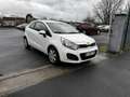 Kia Rio Rio 1.2i - 85 Motion Blanc - thumbnail 7