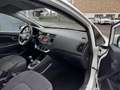 Kia Rio Rio 1.2i - 85 Motion Blanc - thumbnail 14