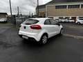 Kia Rio Rio 1.2i - 85 Motion Blanc - thumbnail 5