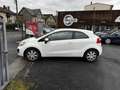 Kia Rio Rio 1.2i - 85 Motion Blanc - thumbnail 2