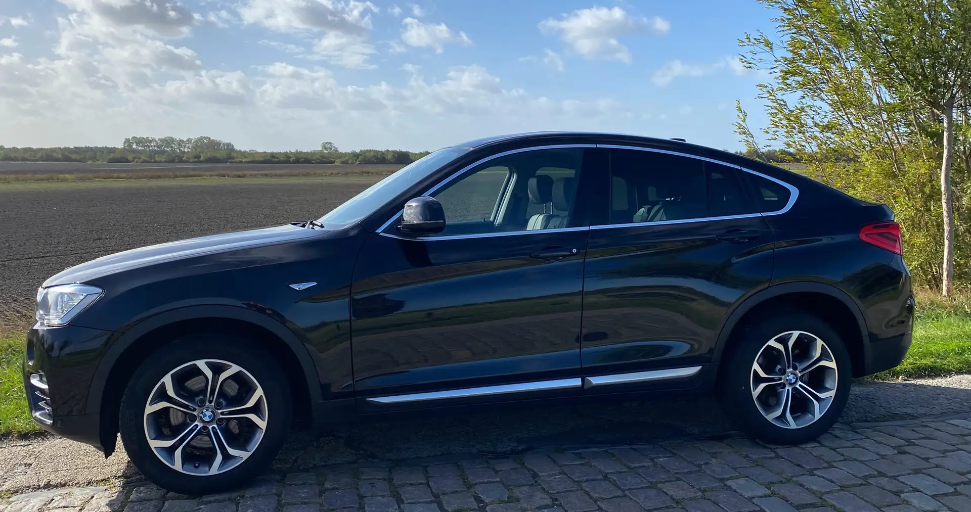 BMW X4 X4 xDrive20d Aut. xLine Zwart - 1
