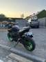 Kawasaki Z 500 SE Verde - thumbnail 3