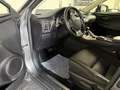 Lexus NX 300h AWD Edition HYBRIDE | TREKHAAK | CAMERA Сірий - thumbnail 20