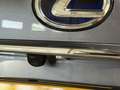 Lexus NX 300h AWD Edition HYBRIDE | TREKHAAK | CAMERA Сірий - thumbnail 16