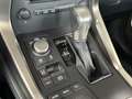 Lexus NX 300h AWD Edition HYBRIDE | TREKHAAK | CAMERA Сірий - thumbnail 26
