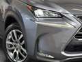 Lexus NX 300h AWD Edition HYBRIDE | TREKHAAK | CAMERA Сірий - thumbnail 32