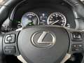 Lexus NX 300h AWD Edition HYBRIDE | TREKHAAK | CAMERA Сірий - thumbnail 22