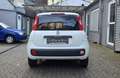 Fiat Panda More 1.2 , Klima,PDC,Alu,UConnect Weiß - thumbnail 10