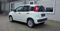 Fiat Panda More 1.2 , Klima,PDC,Alu,UConnect Weiß - thumbnail 11