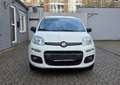 Fiat Panda More 1.2 , Klima,PDC,Alu,UConnect Weiß - thumbnail 2
