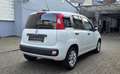 Fiat Panda More 1.2 , Klima,PDC,Alu,UConnect Weiß - thumbnail 3