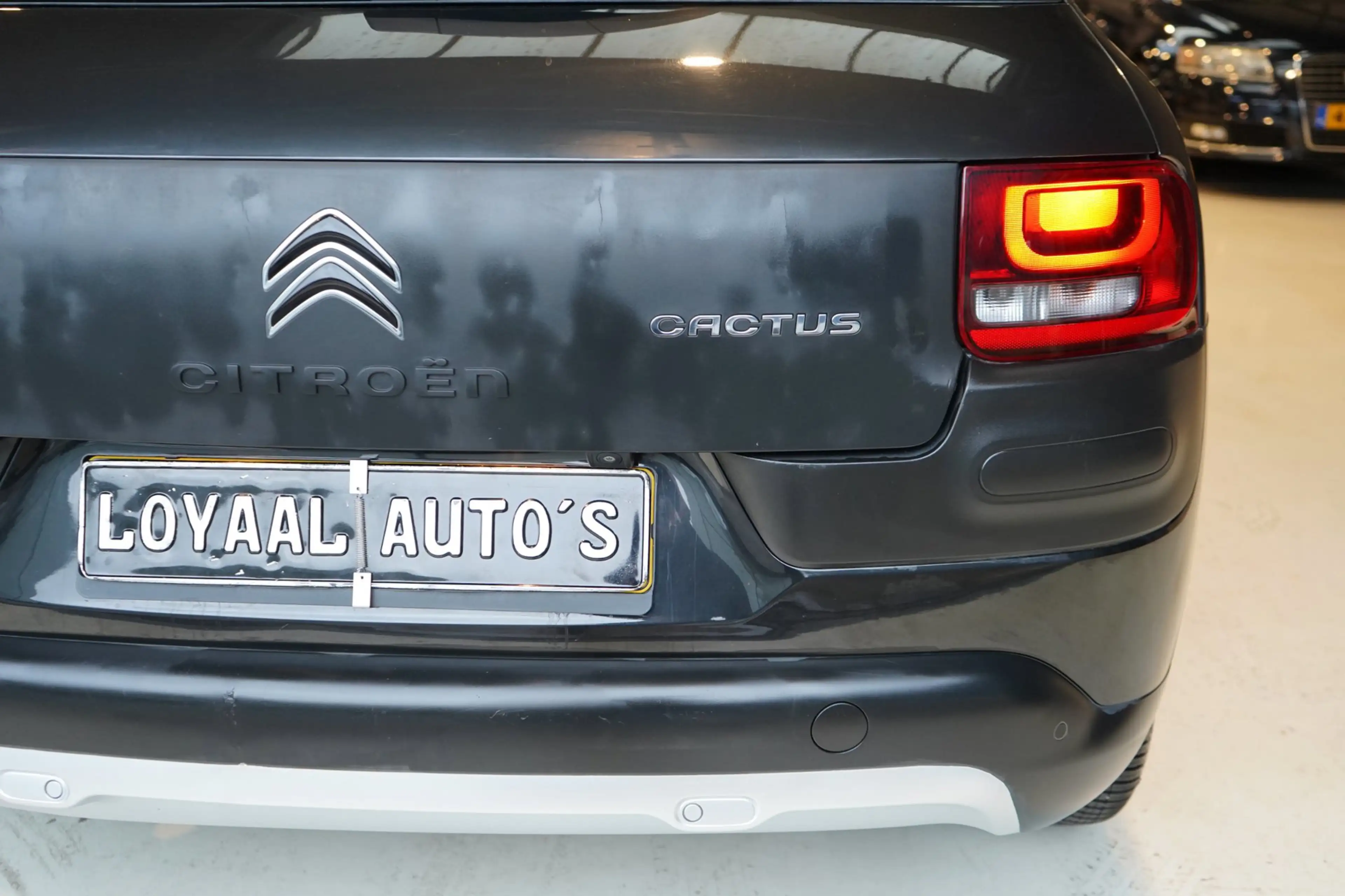 Citroen C4 Cactus 1.2 PureTech Rip Curl | PANODAK | CRUISE | AIRCO | — photo 14