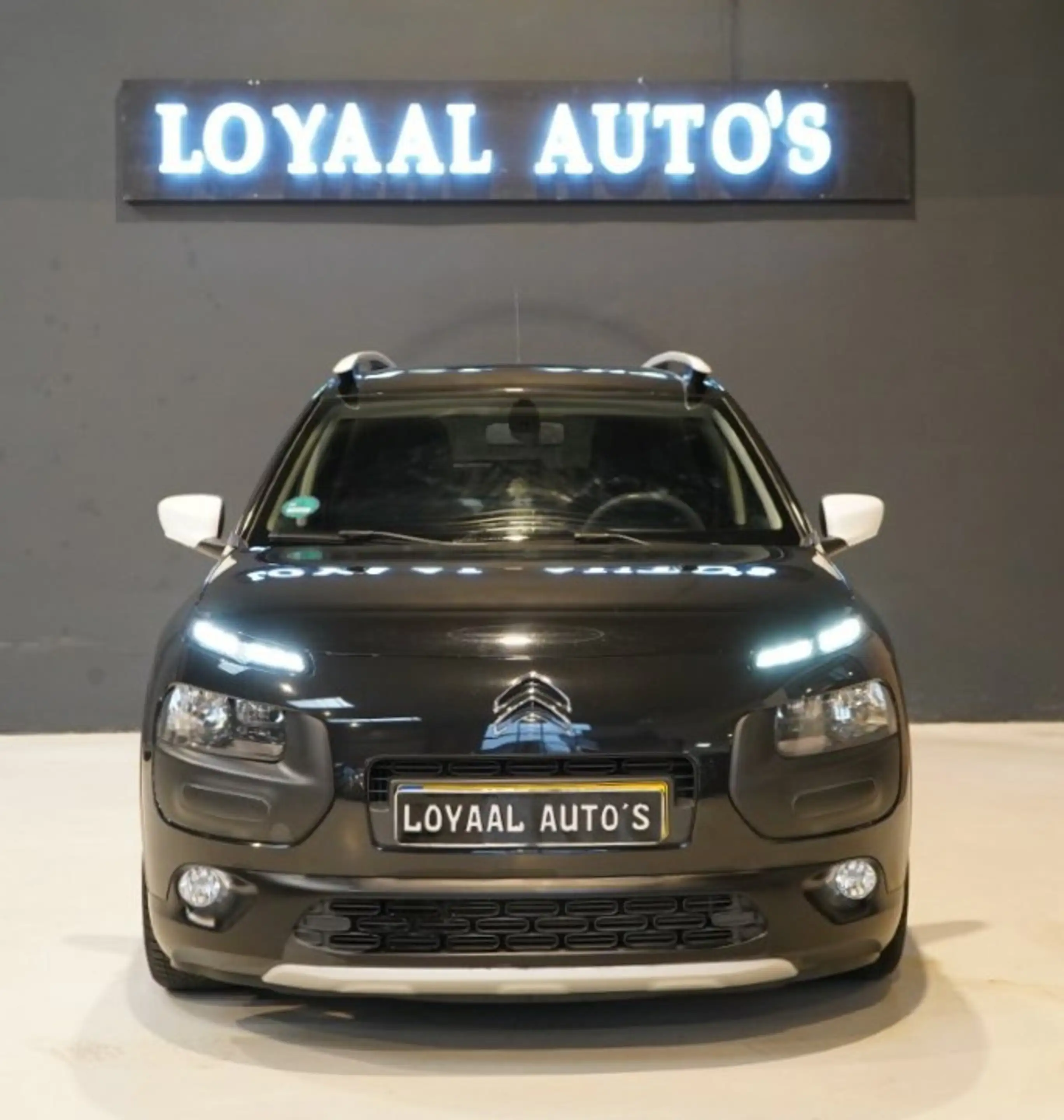 Citroen C4 Cactus 1.2 PureTech Rip Curl | PANODAK | CRUISE | AIRCO | — photo 3