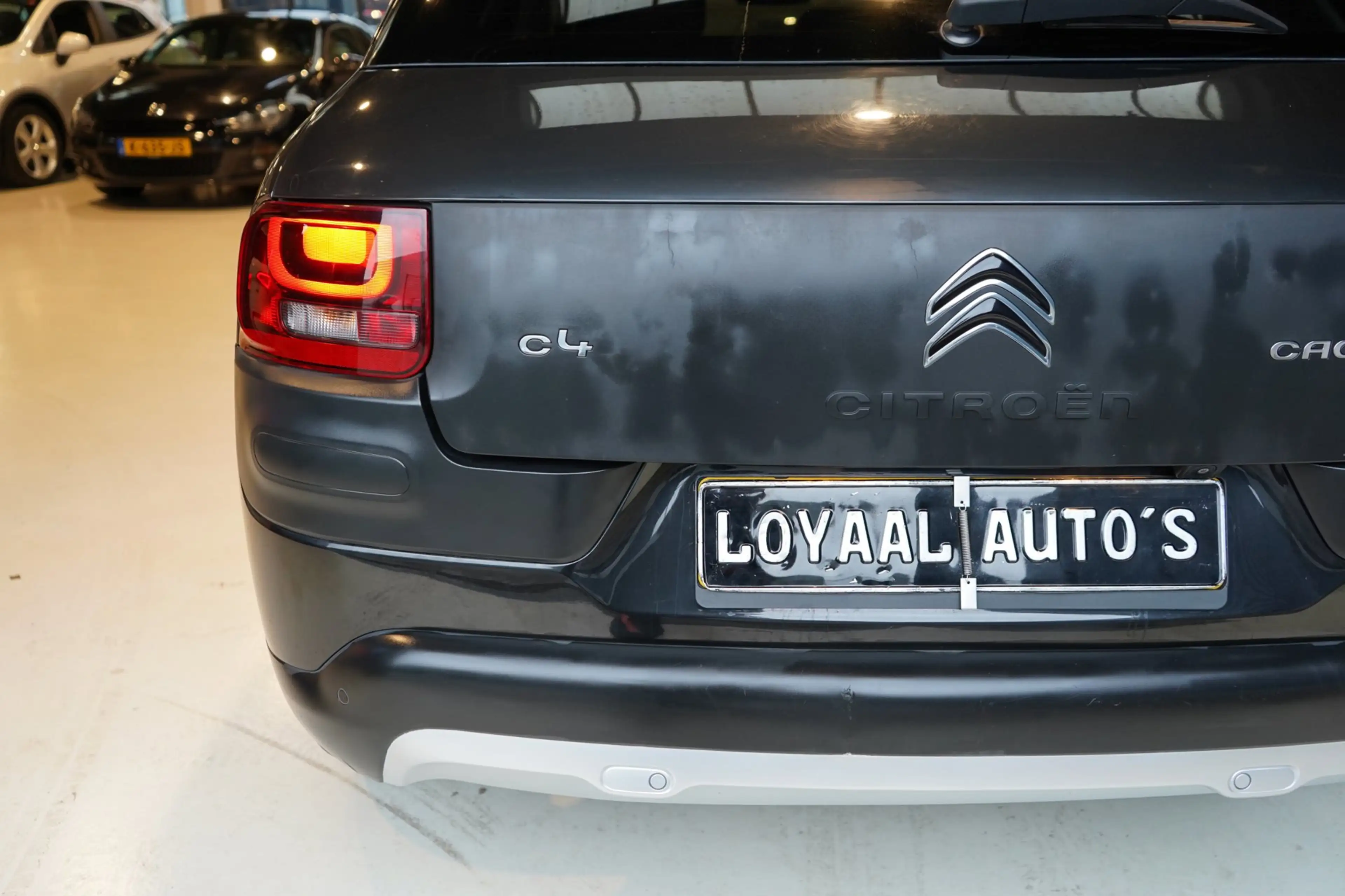 Citroen C4 Cactus 1.2 PureTech Rip Curl | PANODAK | CRUISE | AIRCO | — photo 13