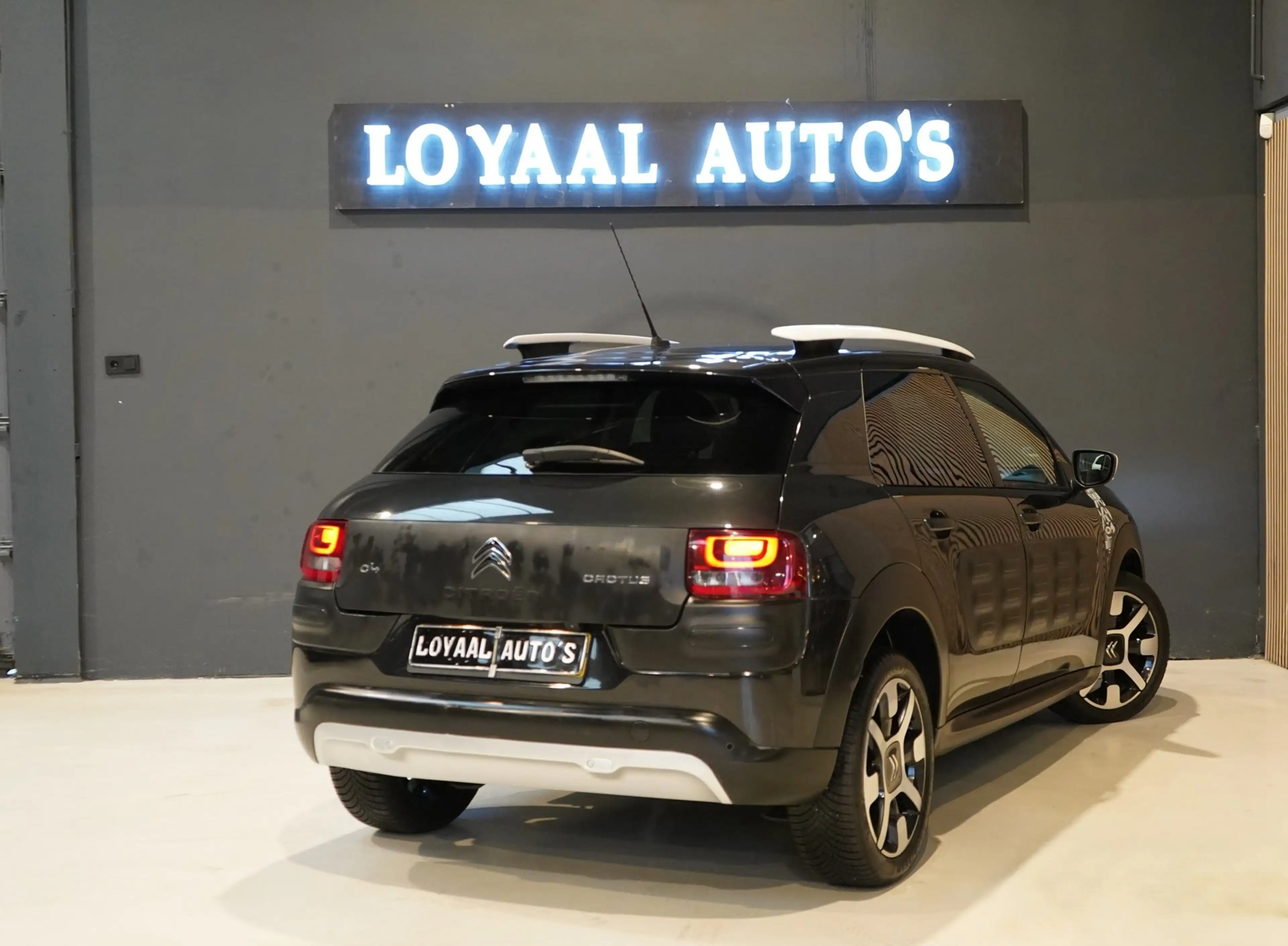 Citroen C4 Cactus 1.2 PureTech Rip Curl | PANODAK | CRUISE | AIRCO | — photo 8