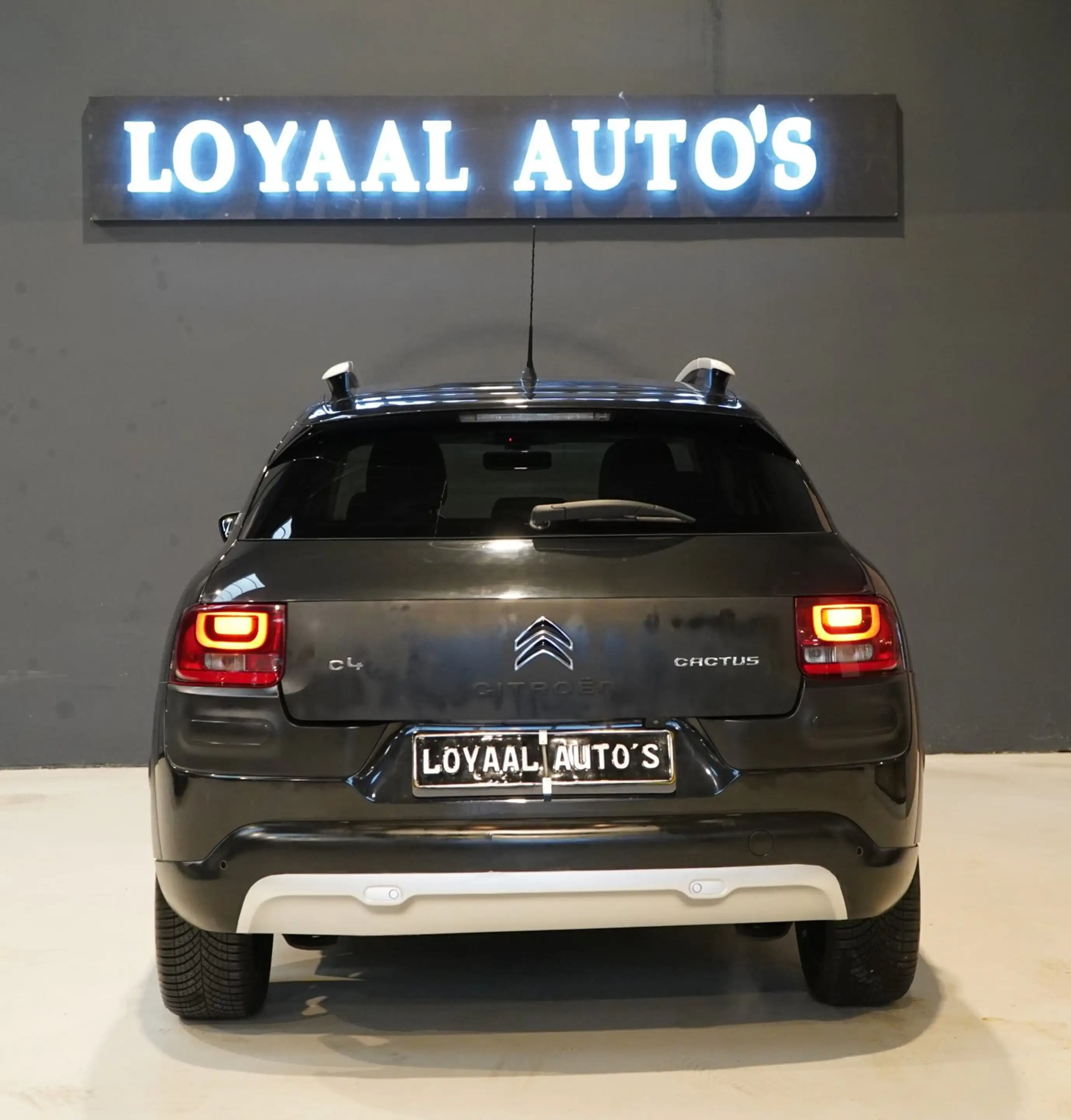 Citroen C4 Cactus 1.2 PureTech Rip Curl | PANODAK | CRUISE | AIRCO | — photo 7