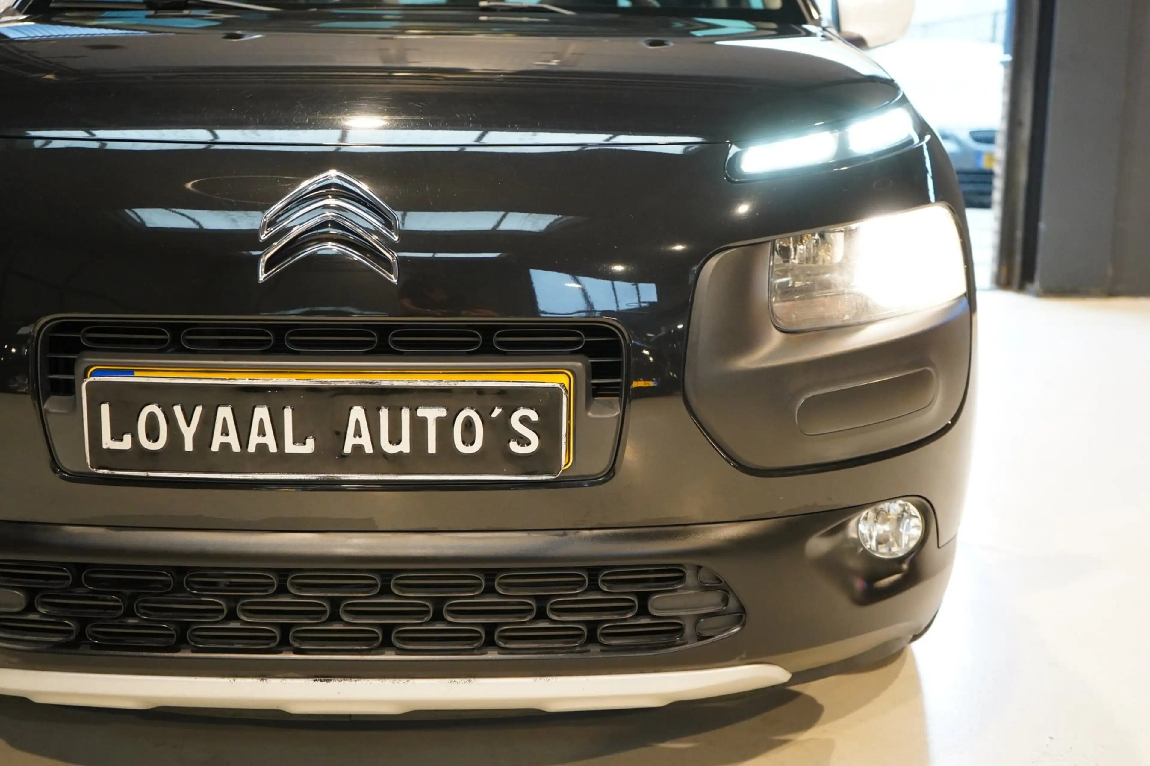 Citroen C4 Cactus 1.2 PureTech Rip Curl | PANODAK | CRUISE | AIRCO | — photo 11