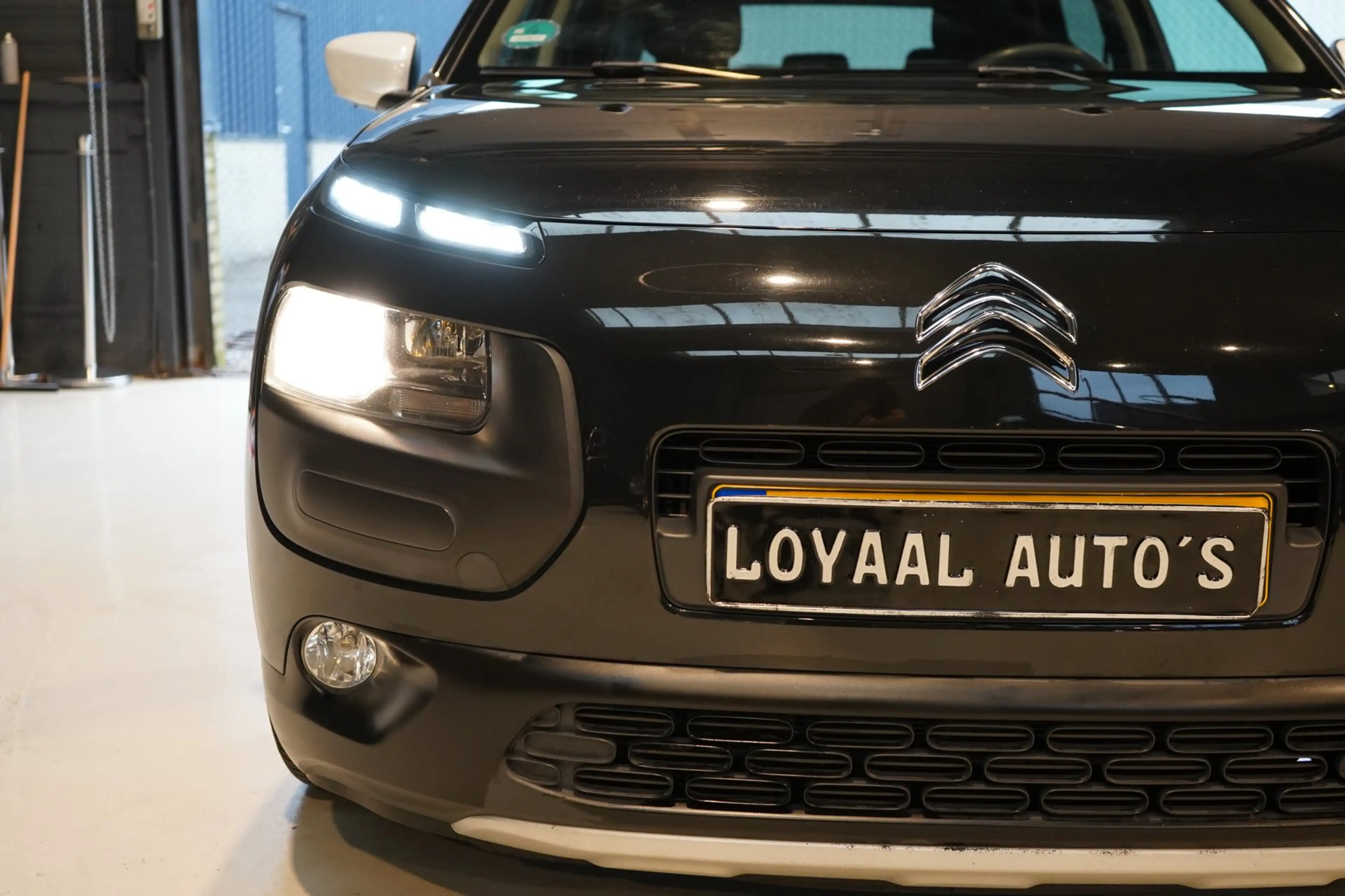 Citroen C4 Cactus 1.2 PureTech Rip Curl | PANODAK | CRUISE | AIRCO | — photo 10