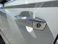 Audi A6 allroad 3.0 tdi Business quattro 272cv s-tronic Blanc - thumbnail 10