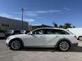 Audi A6 allroad 3.0 tdi Business quattro 272cv s-tronic Blanc - thumbnail 6
