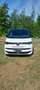 Volkswagen T7 Multivan Multivan DSG KÜ Edition Weiß - thumbnail 1