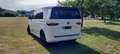 Volkswagen T7 Multivan Multivan DSG KÜ Edition Weiß - thumbnail 4