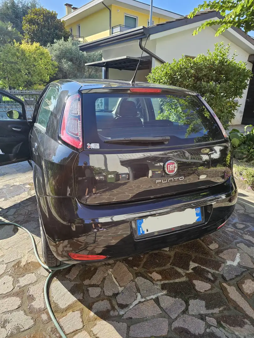 Fiat Punto 5p 1.2 Street E6 - 1