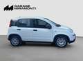Fiat Panda PREZZO REALE SENZA VINCOLO DI FINANZIAMENTO Blanc - thumbnail 7