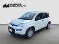 Fiat Panda PREZZO REALE SENZA VINCOLO DI FINANZIAMENTO Blanc - thumbnail 1