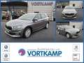 Skoda Fabia Selection LED/Kamera/SmartLink Gris - thumbnail 1