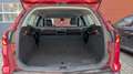 Ford Focus Wagon 1.0 Titanium goed onderhouden Rot - thumbnail 29