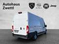 Fiat Ducato MAXI KW Diesel 140 Weiß - thumbnail 6