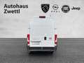 Fiat Ducato MAXI KW Diesel 140 Weiß - thumbnail 5