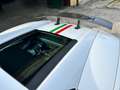 Lamborghini Gallardo 5.2 LP 560-4 e-gear “CARBO” TUBISTYLE 20” Bianco - thumbnail 9