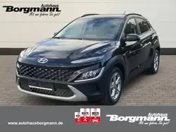 Hyundai KONA Edition 1.0 Rückfahrkamera Sitzheizung Apple C