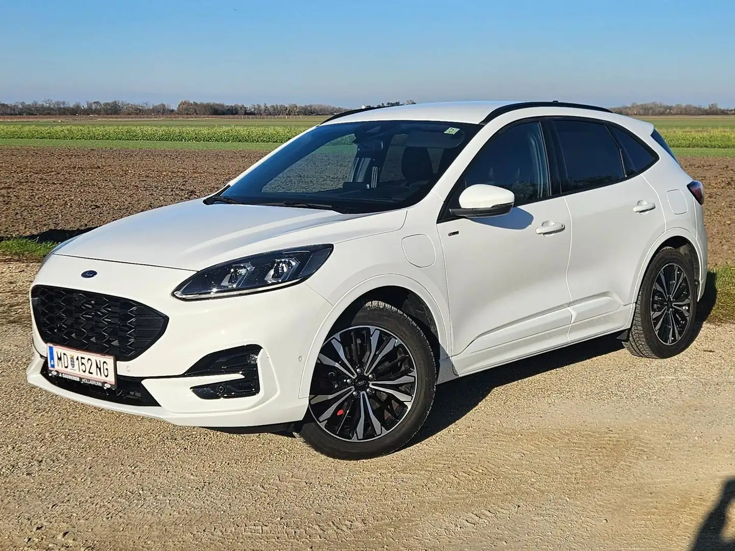 Ford Kuga Kuga 2,5 Duratec PHEV ST-Line Aut. ST-Line Weiß - 2