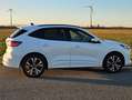 Ford Kuga Kuga 2,5 Duratec PHEV ST-Line Aut. ST-Line Weiß - thumbnail 7