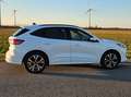 Ford Kuga Kuga 2,5 Duratec PHEV ST-Line Aut. ST-Line Weiß - thumbnail 6