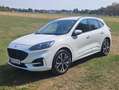 Ford Kuga Kuga 2,5 Duratec PHEV ST-Line Aut. ST-Line Weiß - thumbnail 3