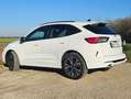 Ford Kuga Kuga 2,5 Duratec PHEV ST-Line Aut. ST-Line Weiß - thumbnail 4